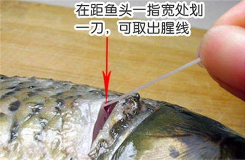 鱼腥线怎么去除