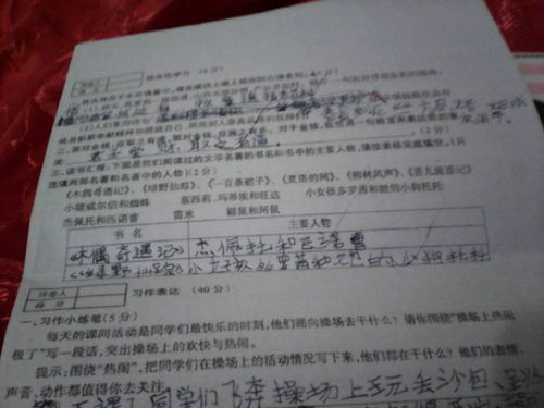 作文100个字左右