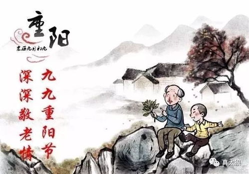 重阳节由来介绍简短