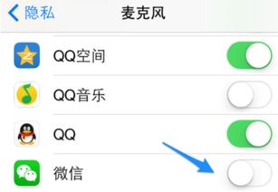 苹果手机麦克风设置在哪里