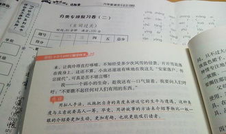 家庭情况说明怎么写