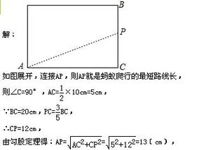 圆柱的底面周长怎么算?