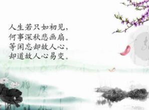 人生若如初见,下一句是什么?