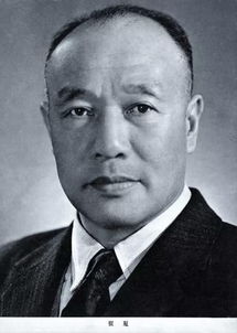 崔嵬是什么意思