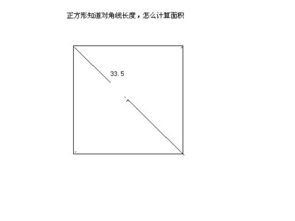 正方形对角线的性质是什么?