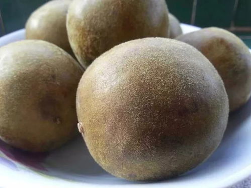 神仙菓是什么样的植物?