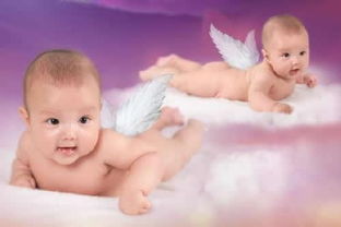 Angelbaby是什么意思