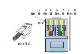 8根水晶头接法顺序