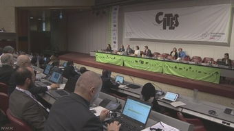 华盛顿公约是保护生物多样性的公约吗