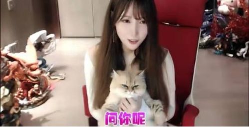《罗米娜》免费在线观看完整版高清,求百度网盘资源