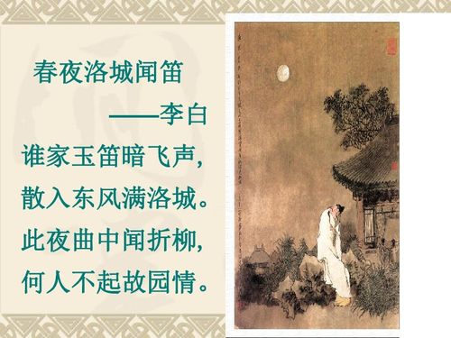 春夜洛城闻笛的意思是什么?