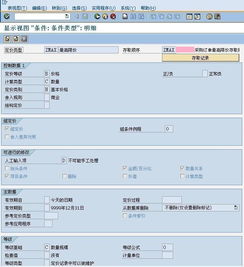 什么是sap系统