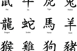 大写的二字怎么写大写的二字写法是什么