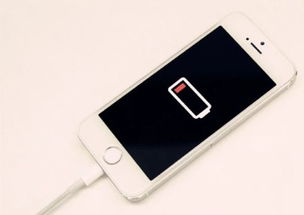 给手机充一夜的电好吗