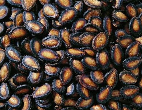 黑瓜子的功效与作用