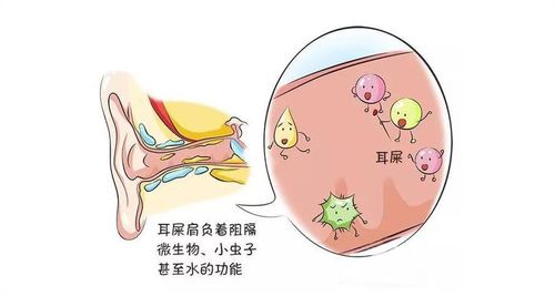 灰尘有哪些作用