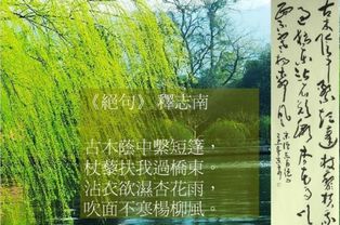 杨柳风的意思是什么 杨柳风的意思