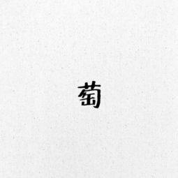 葡萄的萄组词