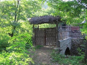 柴扉这个词的意思 词语柴扉什么意思