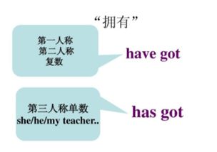英语第三人称单数有哪些?