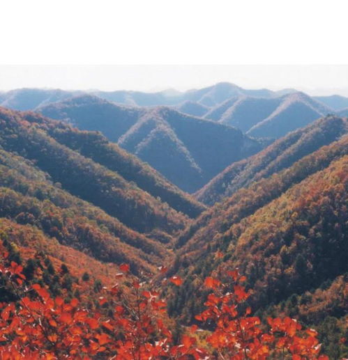 关于吕梁山的诗句