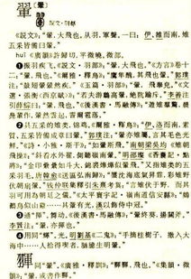 左边立右边羽念什么