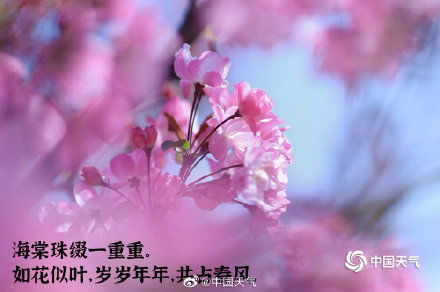 春天的别称