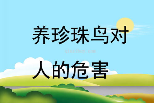 家庭养鸟的好处和坏处