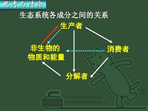 生态系统的营养结构