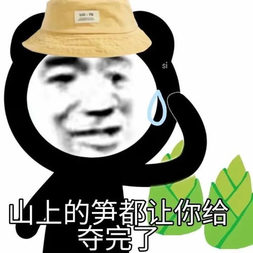 小伙是指多大到多大年龄之间??