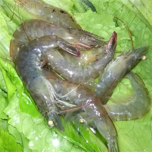 如何去虾线，如何去虾线视频