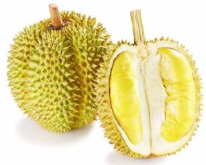 甲仑榴莲的特点