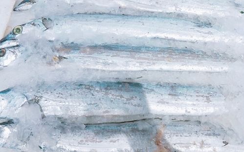 带鱼有必要去鳞吗?