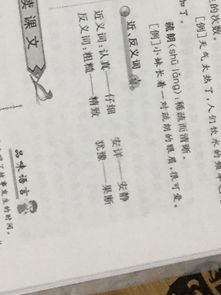 “重复”的近义词是什么?
