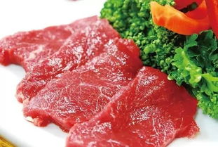 怎么炖马肉好吃