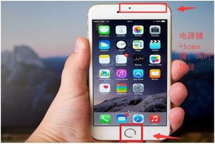 苹果手机强制重启方法