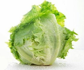 球生菜与牛心菜有什么区别?它们分别有哪些好吃的做法?