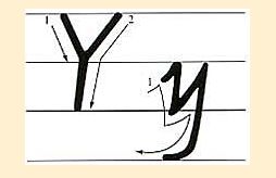y的笔顺怎么写?
