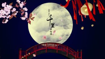 千里共婵娟的婵娟是什么意思