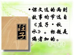 惠子相梁文言文翻译