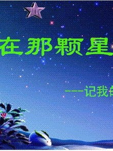 在那颗星子下作文600字