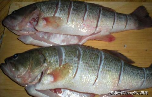 平时吃鲈鱼,买海鲈鱼好还是买淡水鲈鱼最好?