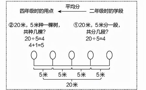 什么是平均分?