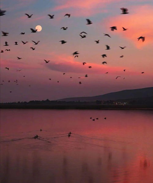 胜日寻芳泗水滨,无边光景一时新。诗句的意思是什么?