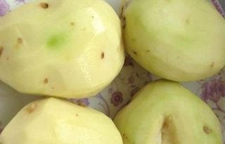 土豆青的可以吃吗