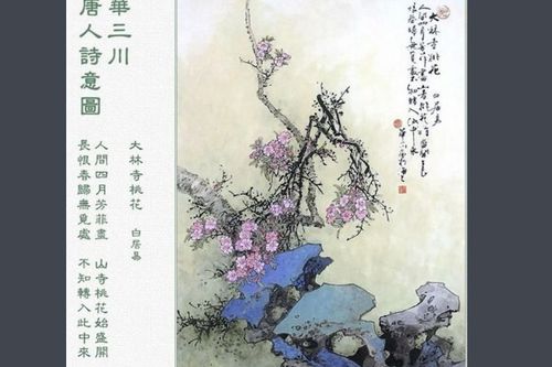 芳菲的意思是什么