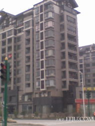 合肥国际花都为什么便宜