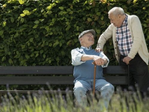 故人是指什么的人?