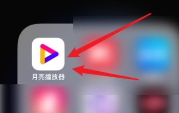月亮播放器怎么突然看不了了?