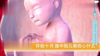 盈盈一握的意思